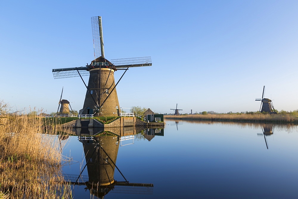 Windmills, Kinderdijk, UNESCO World Heritage Site, Netherlands, Europe