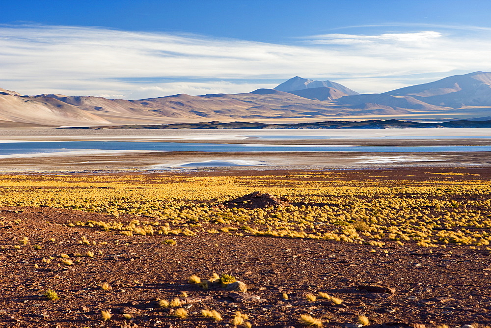 The altiplano at an altitude of over 4000m looking over the salt lake Laguna de Tuyajto, Los Flamencos National Reserve, Atacama Desert, Antofagasta Region, Norte Grande, Chile, South America