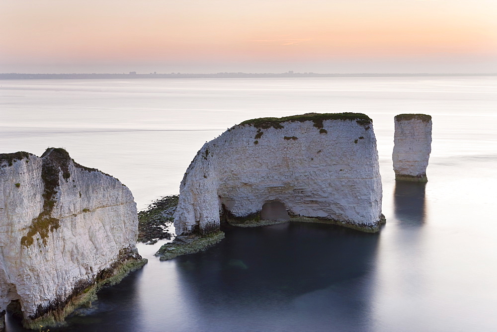 Old Harry Rocks, The Foreland or Handfast Point, Studland, Isle of Purbeck, Dorset, England, United Kingdom, Europe