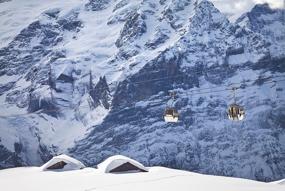 Gondola ski lift passing in front of the Wetterhorn mountain, Grindelwald, Jungfrau region, Bernese Oberland, Swiss Alps, Switzerland, Europe