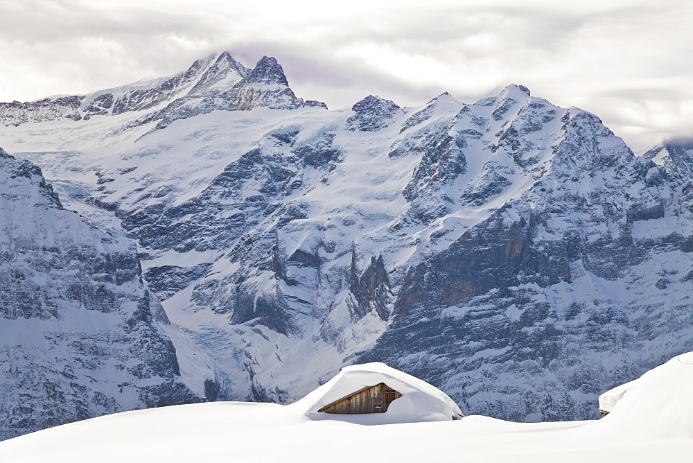 Heavy fall of snow in front of the North Face of the Eiger, Grindelwald, Jungfrau region, Bernese Oberland, Swiss Alps, Switzerland, Europe