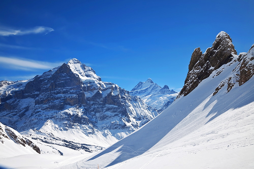 Mountain peaks above Grindelwald, Jungfrau region, Bernese Oberland, Swiss Alps, Switzerland, Europe