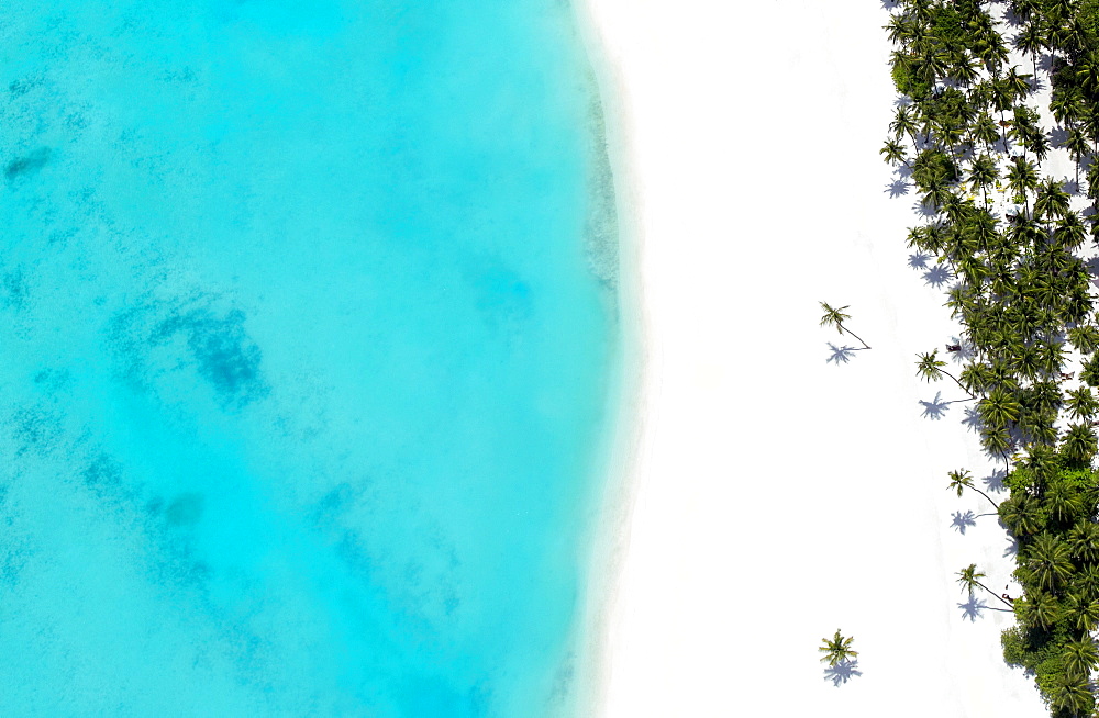 Aerial view of tropical beach and lagoon, The Maldives, Indian Ocean, Asia