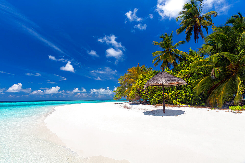 Maldives beach, lagoon and palm trees, The Maldives, Indian Ocean, Asia