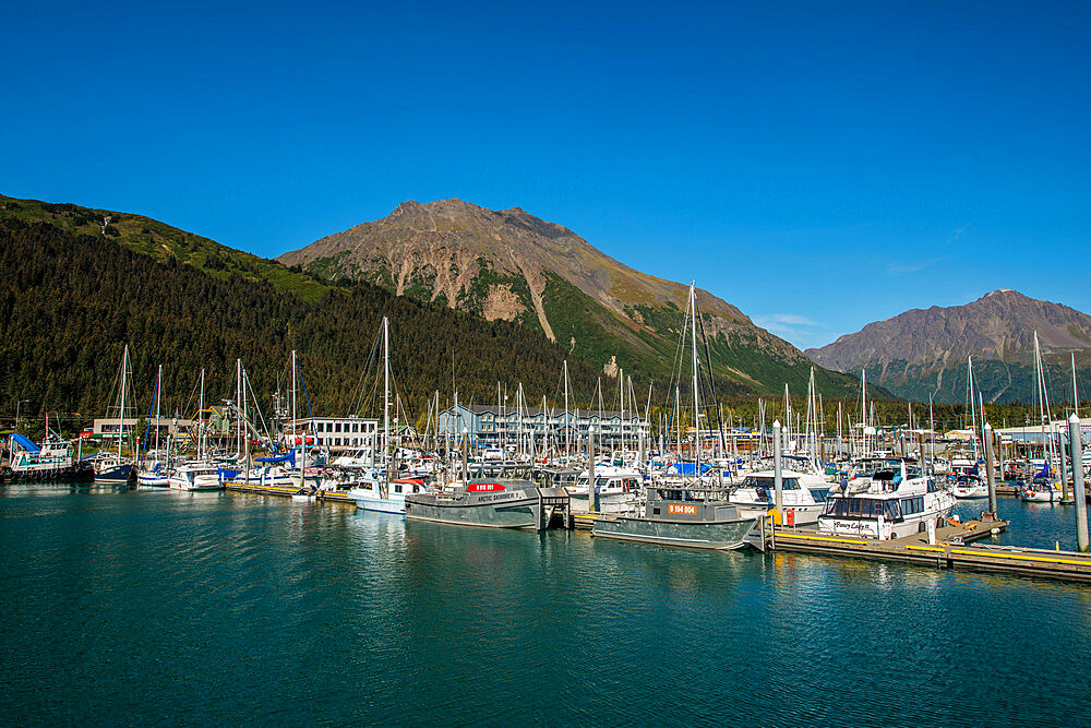 Seward, Resurrection Bay, Kenai Peninsula, Alaska, United States of America, North America