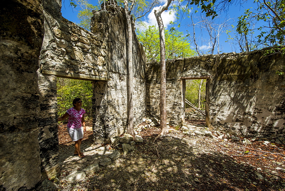 Wade's Green Plantation Historic Site, North Caicos, Turks and Caicos Islands, West Indies, Central America