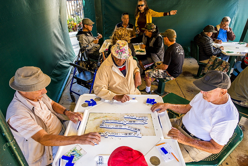 Playing dominoes at Maximo Gomez Park (Domino Park), Little Havana district, Miami, Florida, United States of America, North America