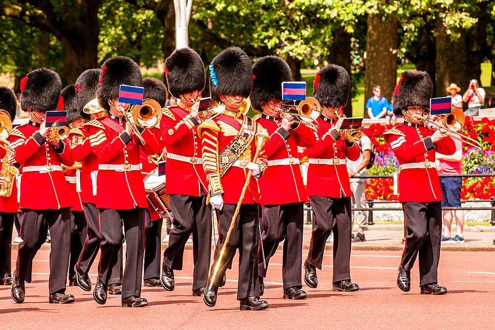 Changing of the Guard ceremonies at Buckingham Palace, London, England, United Kingdom, Europe