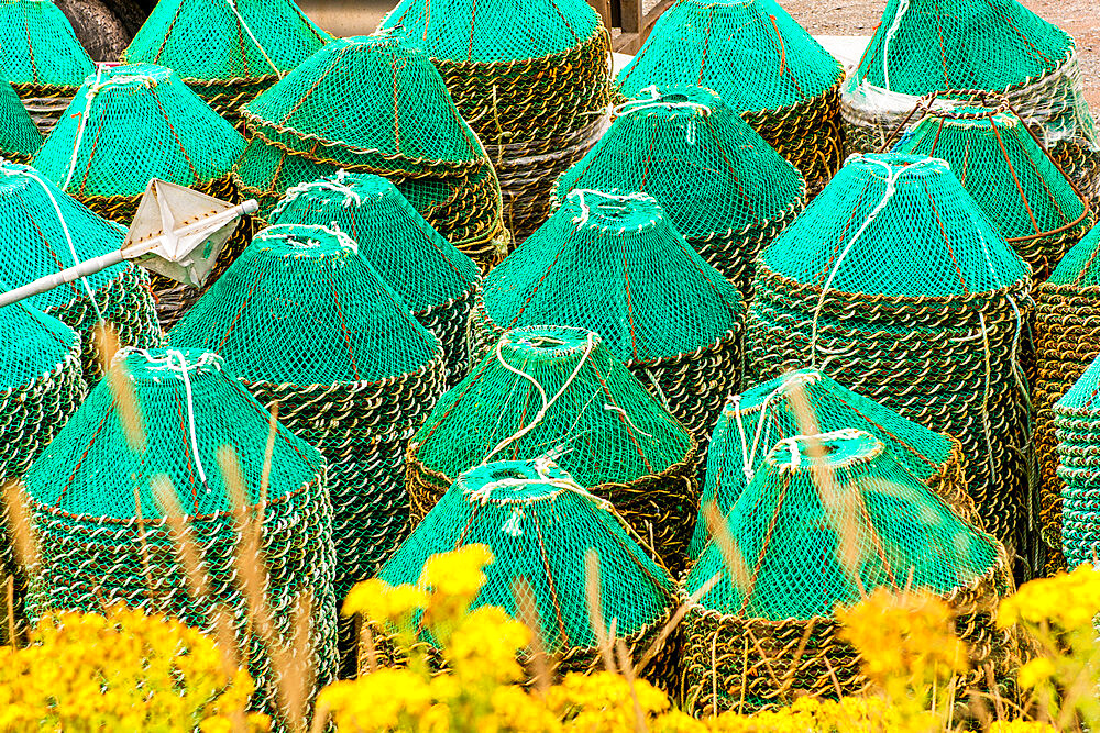 Crab nets pots, Grates Cove, Newfoundland, Canada, North America