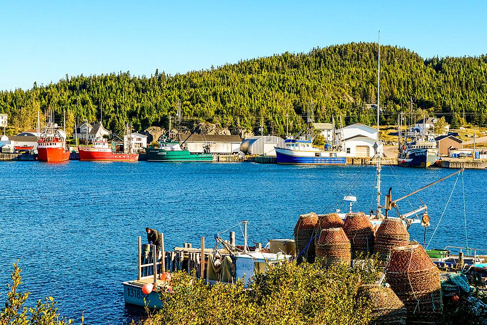 Stag Harbour, Fogo Island, Newfoundland, Canada, North America