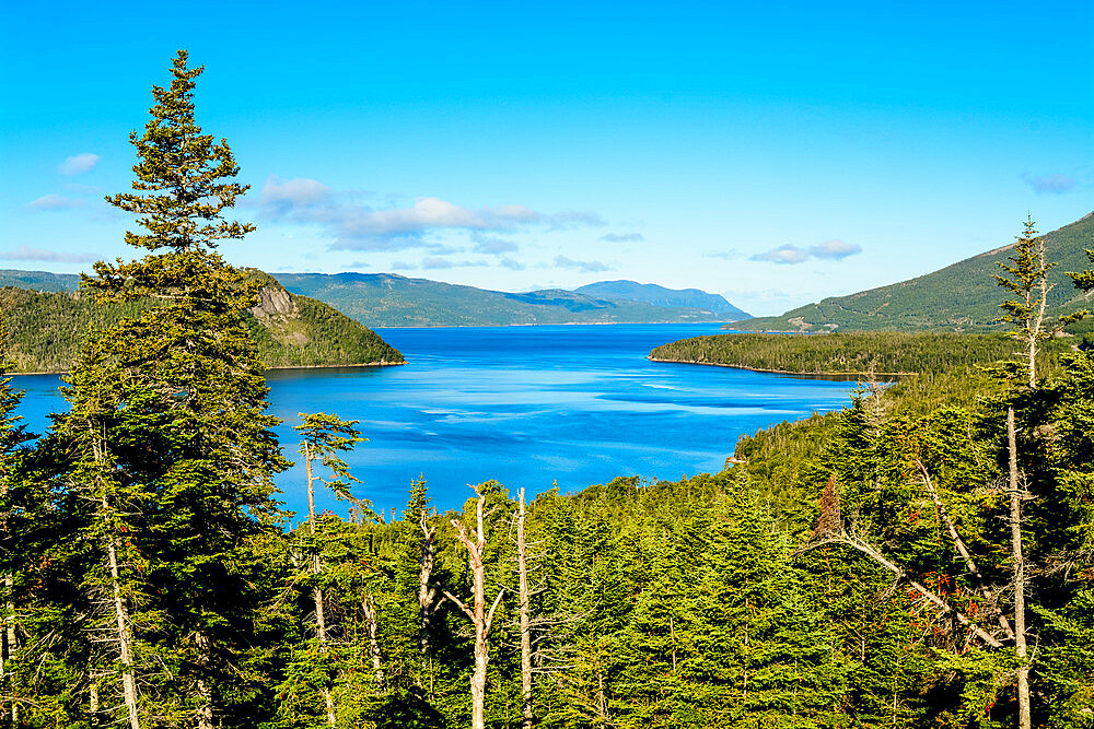 Wild Cove on Bonne Bay, Gros Morne National Park, UNESCO World Heritage Site, Newfoundland, Canada, North America