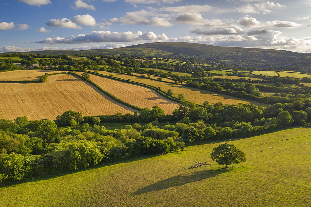 Aerial vista by drone of rolling countryside, Devon, England, United Kingdom, Europe