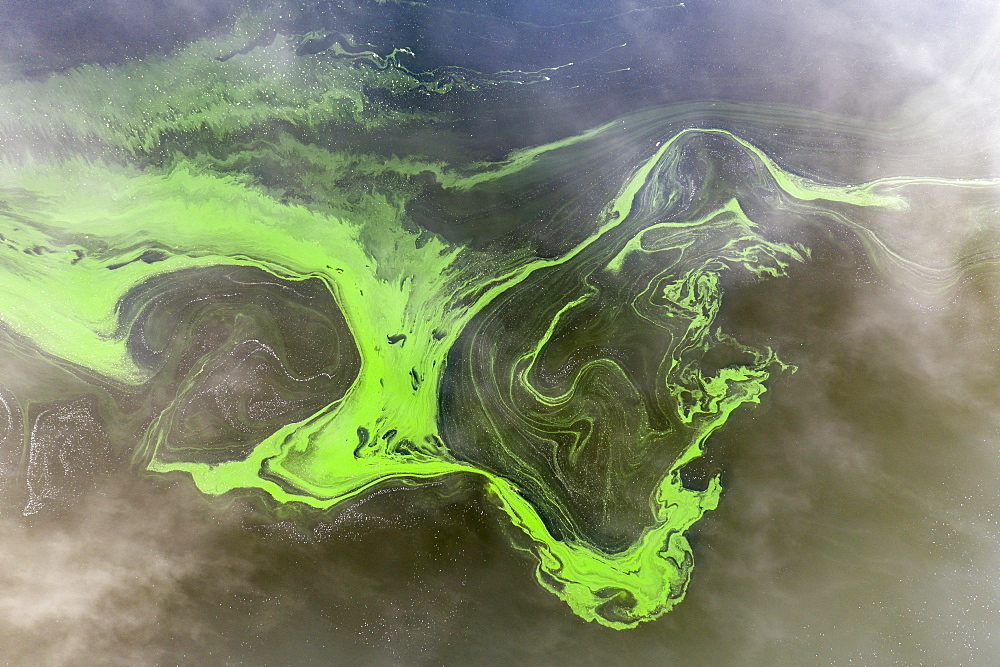 Aerial view by drone of swirls of green algae in a freshwater lake, Roadford Lake, Devon, England, United Kingdom, Europe