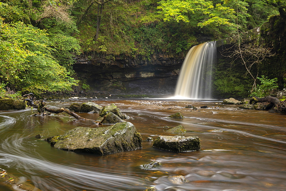 Sgwd Gwladus waterfall near Ystradfellte in the Brecon Beacons National Park, Wales, United Kingdom, Europe