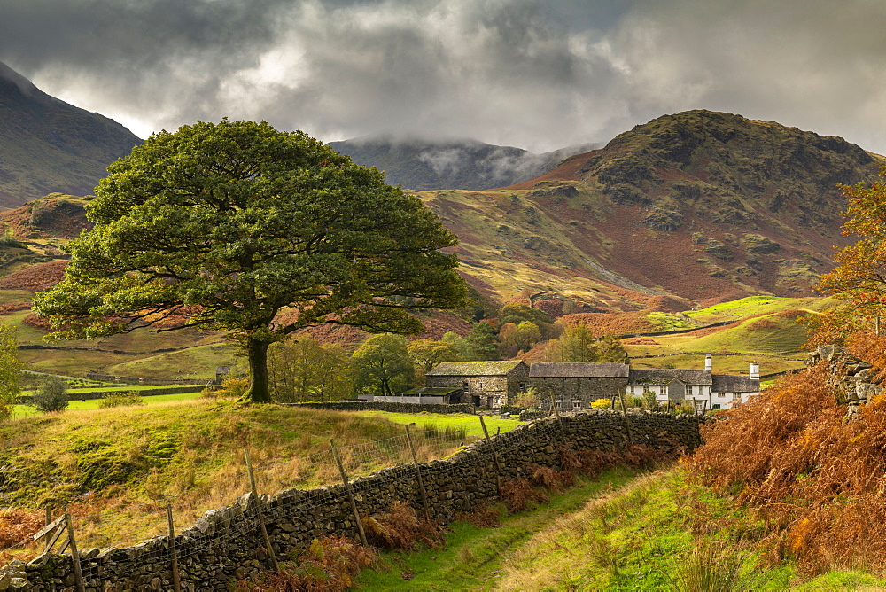 Autumn in the Langdale Valley, Lake District National Park, UNESCO World Heritage Site, Cumbria, England, United Kingdom, Europe