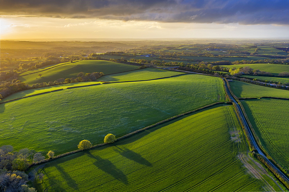 Aerial photo of rolling countryside in evening light, Livaton, Devon, England, United Kingdom, Europe