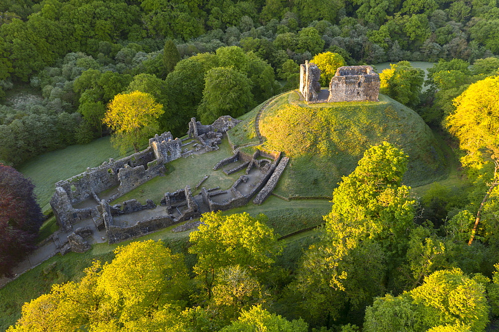 Aerial image showing the ruins of Okehampton Castle on a spring morning, Okehampton, Devon, England, United Kingdom, Europe