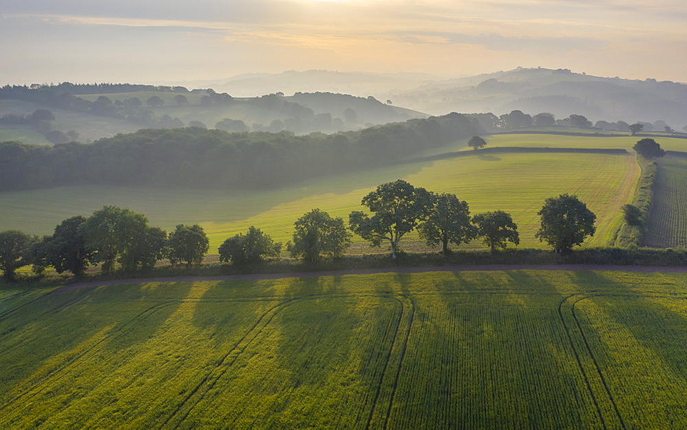 Rolling farmland on a hazy summer morning, Crediton, Devon, England, United Kingdom, Europe