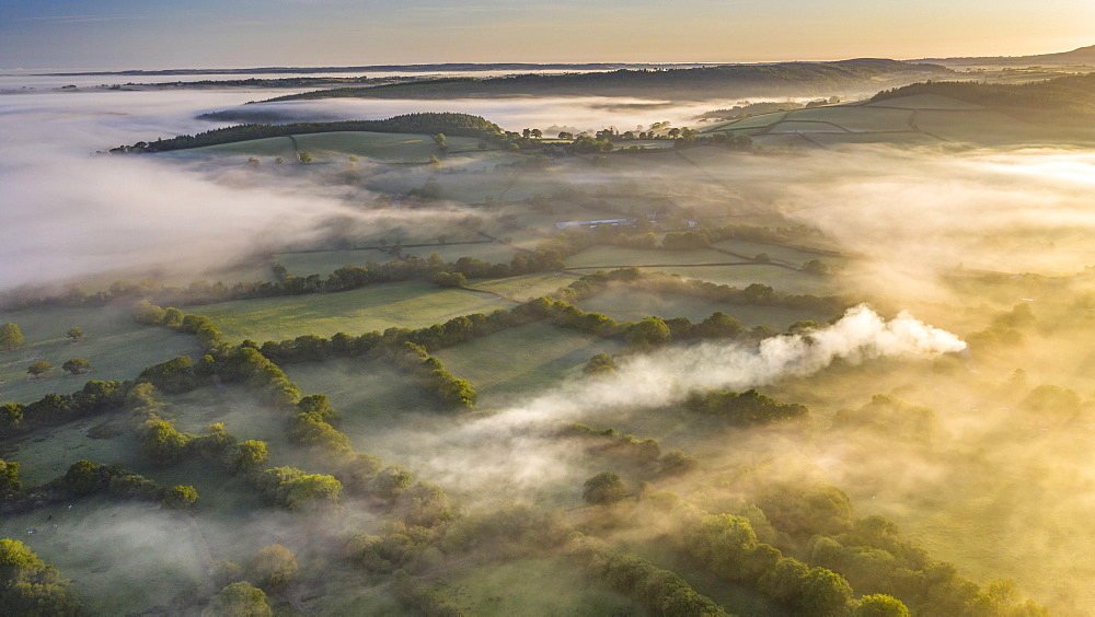 Mist shrouded countryside at dawn in spring, Coryton, Devon, England, United Kingdom, Europe