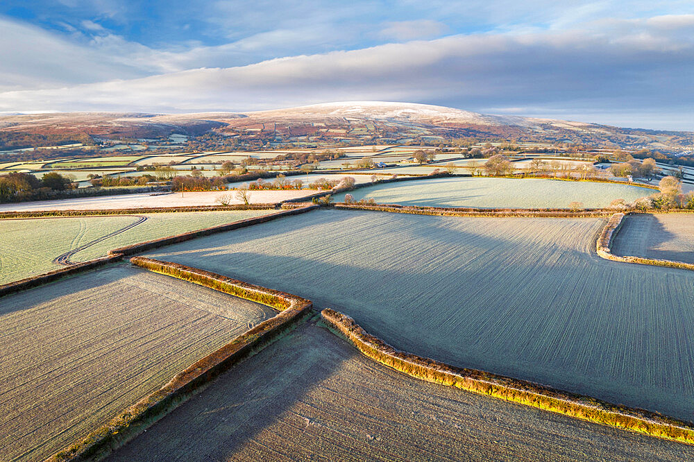 Rolling Dartmoor countryside at dawn on a frosty winter morning, Devon, England, United Kingdom, Europe