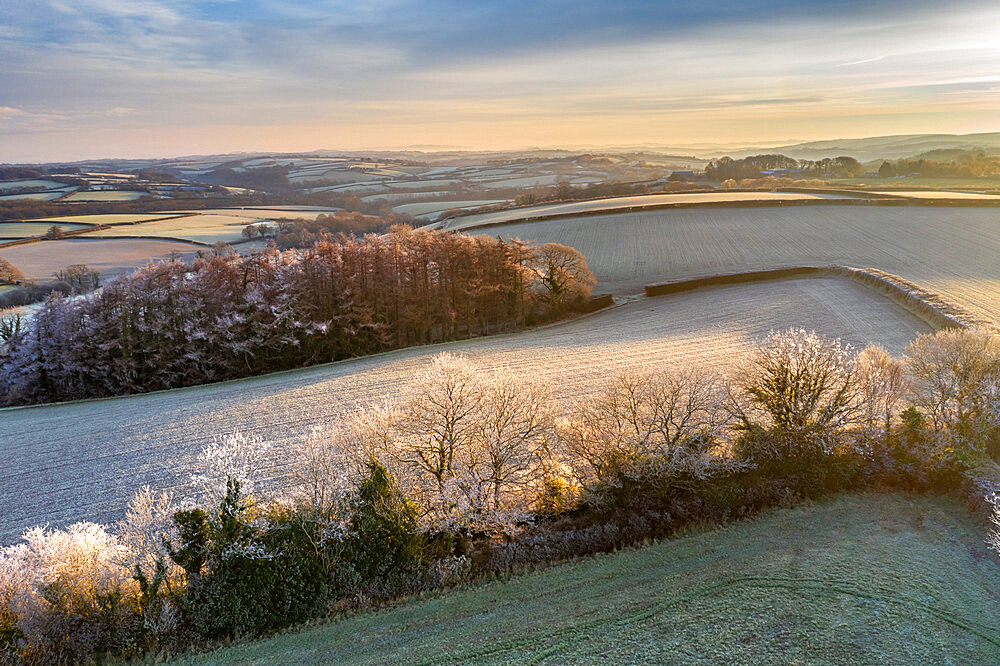 Rolling countryside at dawn on a frosty winter morning, Devon, England, United Kingdom, Europe