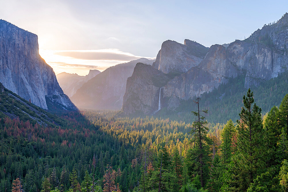 Tunnel View vista of Yosemite Valley in early morning sunlight, Yosemite, UNESCO World Heritage Site, California, United States of America, North America