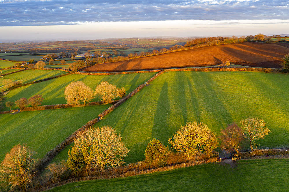 Aerial vista of Dartmoor countryside in rich evening sunlight in spring, Livaton, Devon, England, United Kingdom, Europe