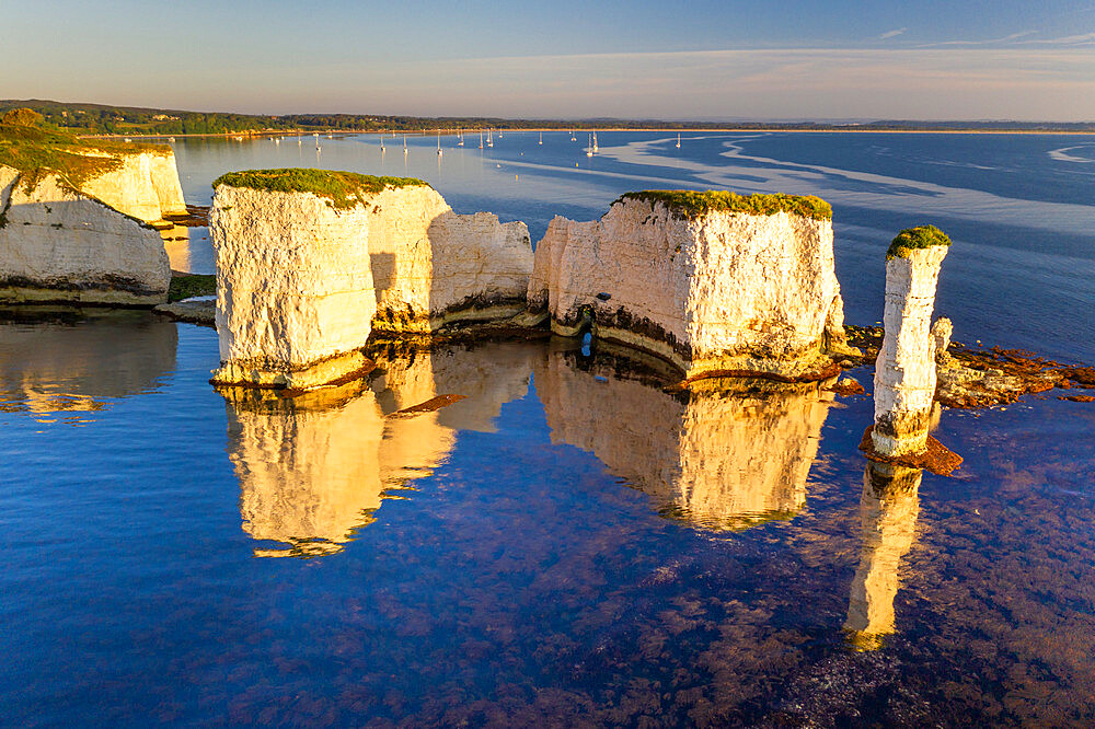 Early morning sunshine lighting up Old Harry Rocks on the Jurassic Coast, UNESCO World Heritage Site, Studland, Dorset, England, United Kingdom, Europe