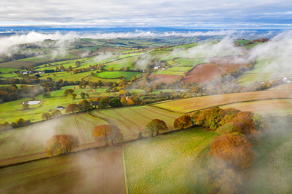 Rolling countryside on a misty autumnal morning near Cadbury, mid Devon, England, United Kingdom, Europe