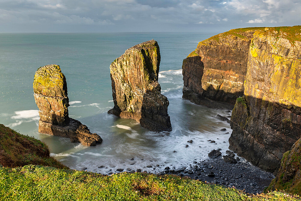 Elegug Stacks at Castlemartin, Pembrokeshire Coast National Park, Wales, United Kingdom, Europe