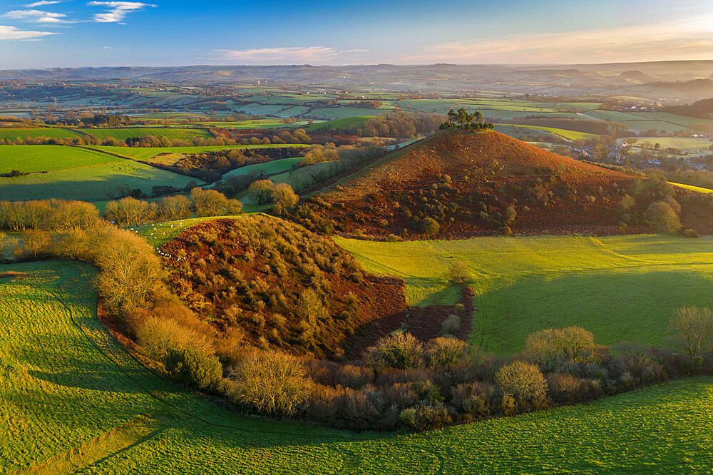 Aerial view of Colmer's Hill at dawn on a sunny winter morning, Symondsbury, Dorset, England, United Kingdom, Europe