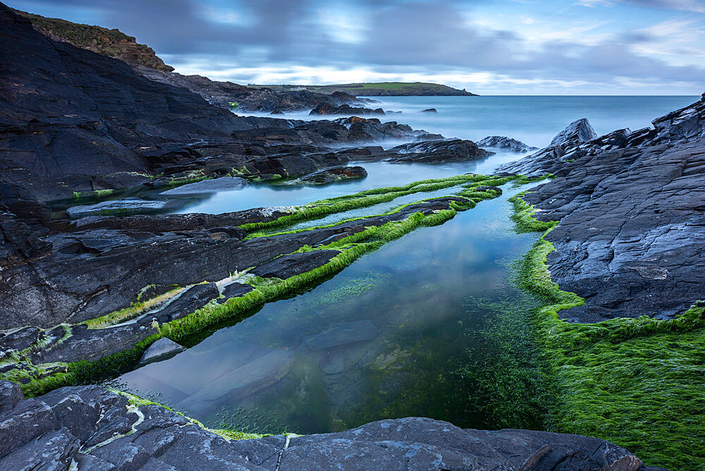 Rockpools on the slate ledges near Harlyn Bay in Cornwall, England, United Kingdom, Europe