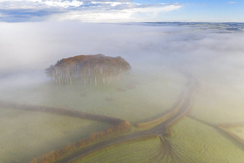 Aerial view of Cookworthy Knapp (The Nearly Home Trees) in winter, near Lifton, Devon, England, United Kingdom, Europe