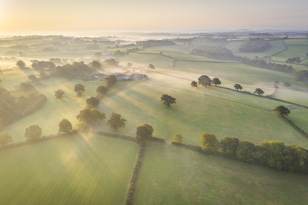 Mist shrouded autumn countryside at dawn, near Spreyton, Devon, England, United Kingdom, Europe