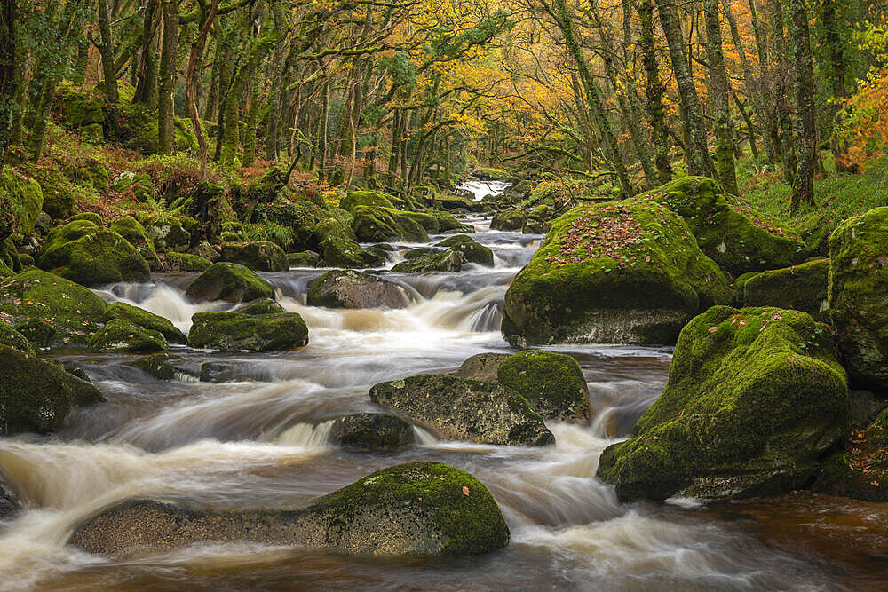 River Plym rushing over boulders in Dewerstone Wood, in autumn, Dartmoor, Devon, England, United Kingdom, Europe