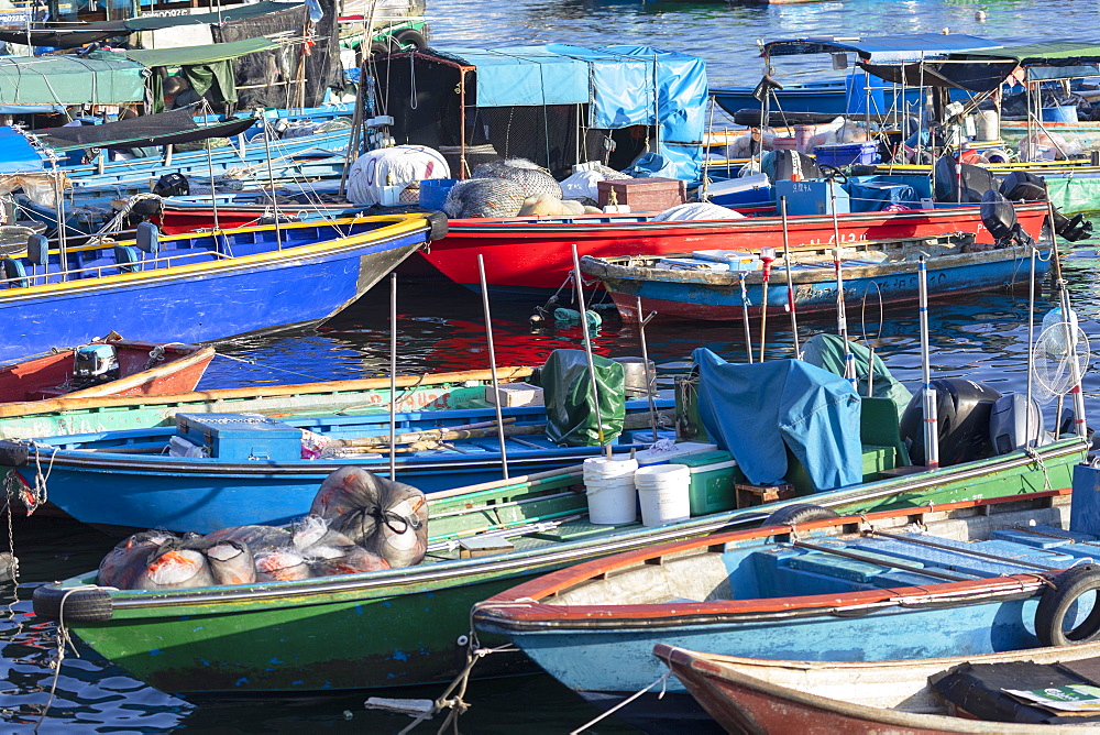 Fishing boats in harbour, Cheung Chau, Hong Kong, China, Asia