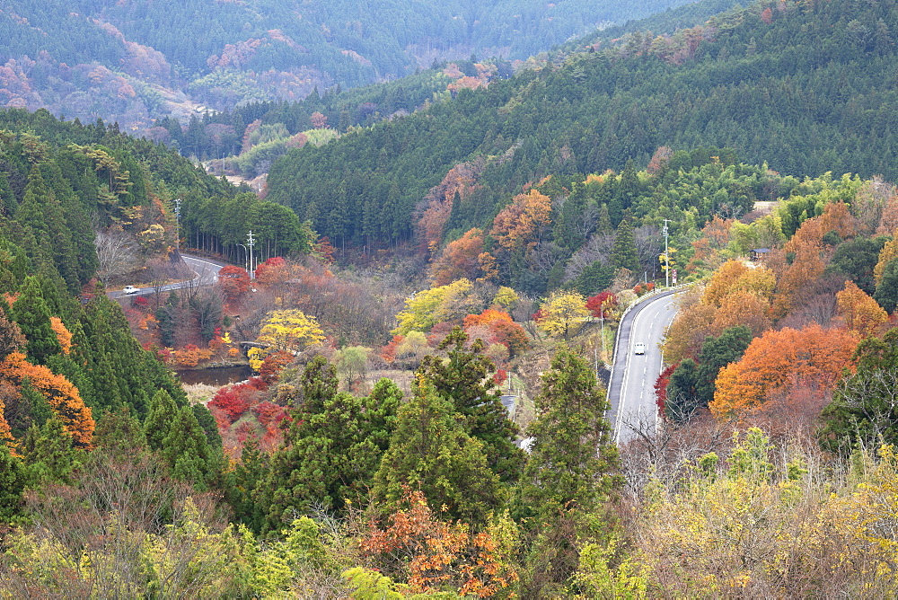 Cars driving through autumnal trees, Magome, Gifu Prefecture, Honshu, Japan, Asia