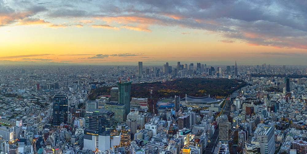 View of Shinjuku skyline and downtown at sunset, Tokyo, Honshu, Japan, Asia