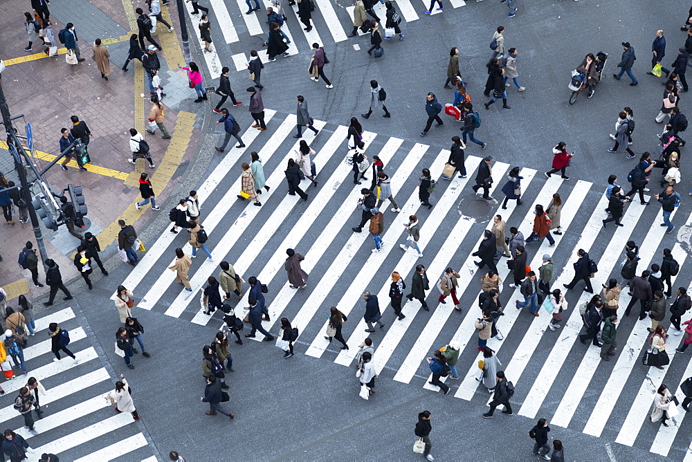 People crossing Shibuya Crossing, Shibuya, Tokyo, Honshu, Japan, Asia