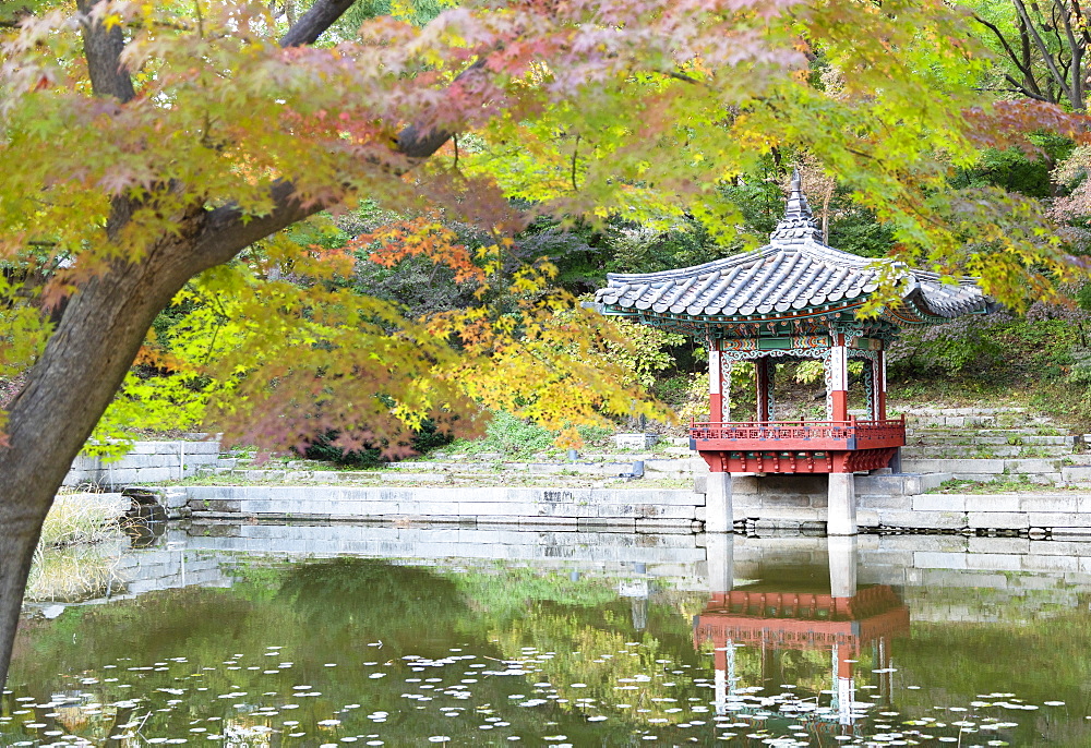 Secret Garden in Changdeokgung Palace, UNESCO World Heritage Site, Seoul, South Korea, Asia