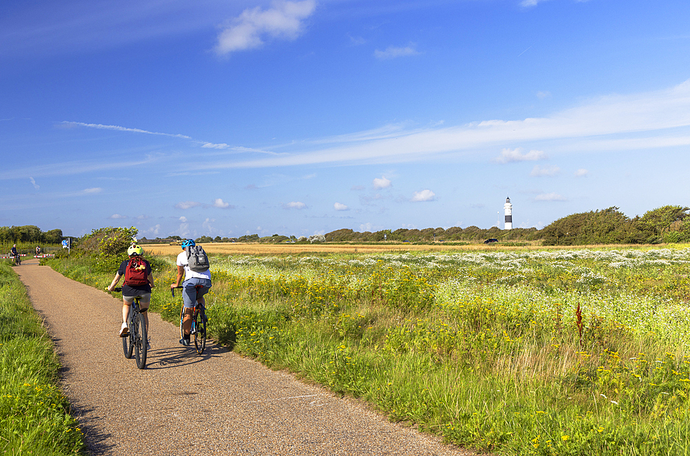 Cyclists on cycling path, Wenningstedt, Sylt, Schleswig Holstein, Germany, Europe