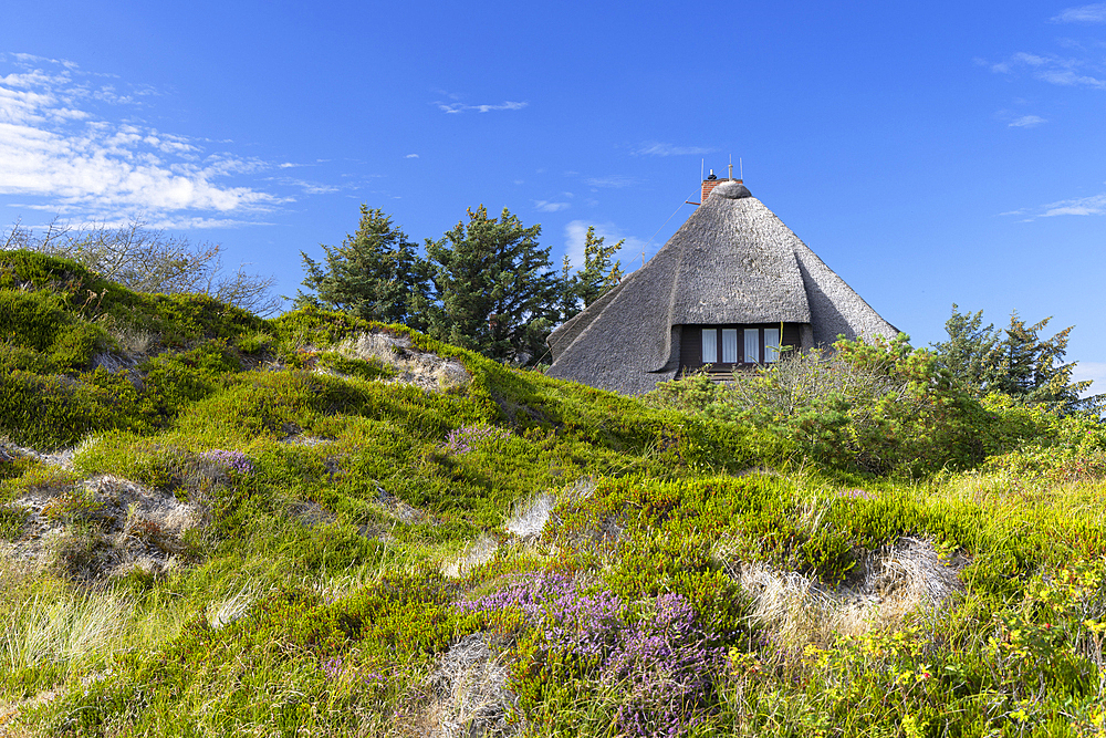 Traditional thatched house, Rantum, Sylt, Schleswig Holstein, Germany, Europe