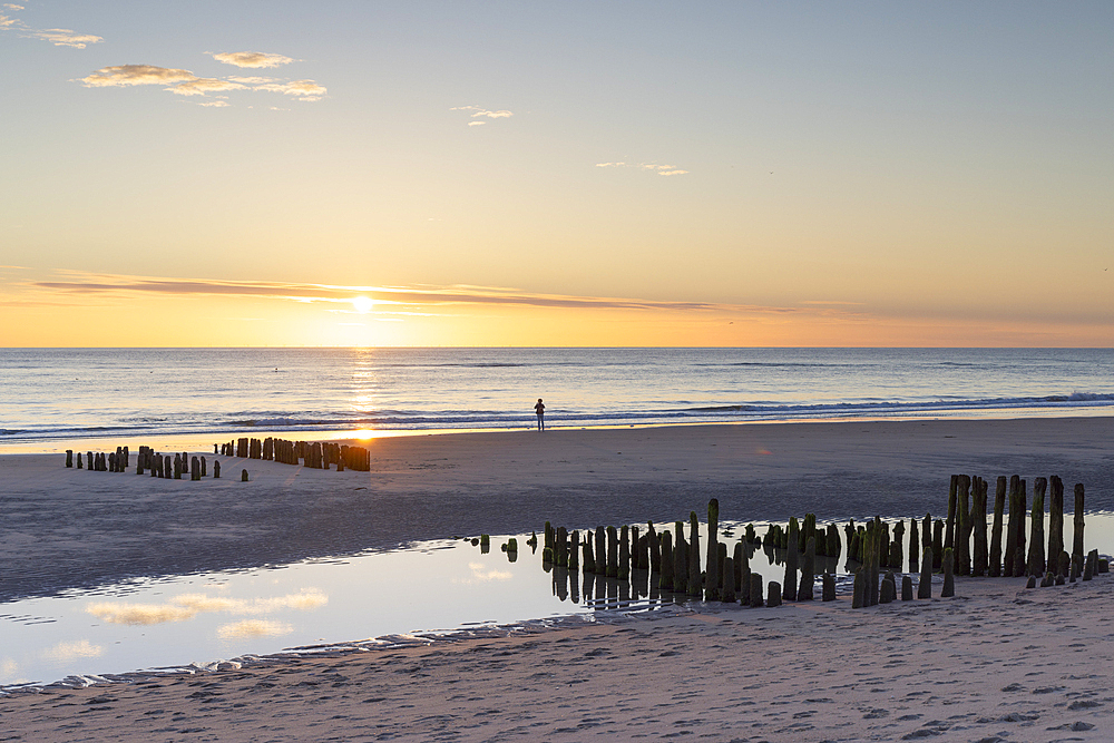 Woman standing next to wooden groynes on Rantum beach at sunset, Sylt, Schleswig Holstein, Germany, Europe