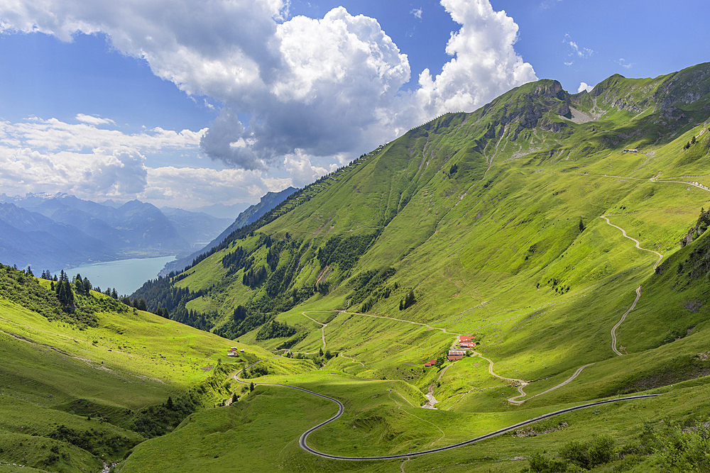 Brienz Rothorn railway climbing up from Lake Brienz, Brienz, Bernese Oberland, Switzerland