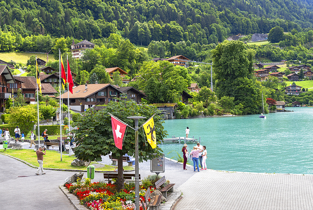 Iseltwald, Lake Brienz, Brienz, Bernese Oberland, Switzerland