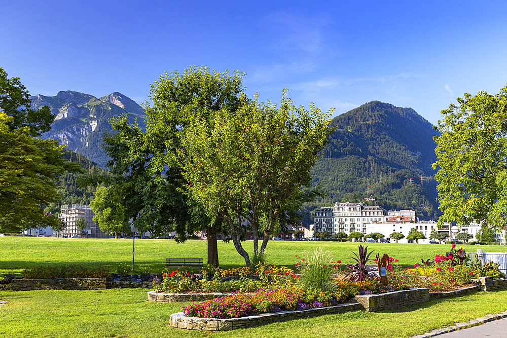 Hohematte Park, Interlaken, Bernese Oberland, Switzerland