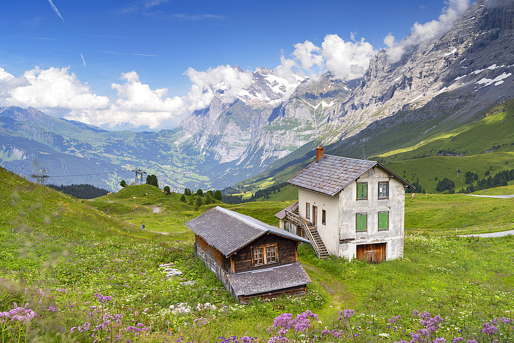 Kleine Scheidigg, Jungfrau Region, Bernese Oberland, Switzerland