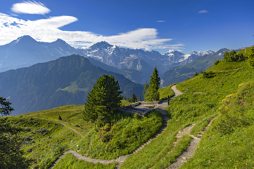 Botanical Garden, Schynige Platte, Jungfrau Region, Bernese Oberland, Switzerland