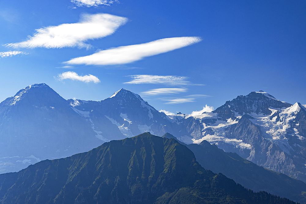 Jungfrau, Monch and Eiger mountains, Schynige Platte, Jungfrau Region, Bernese Oberland, Switzerland