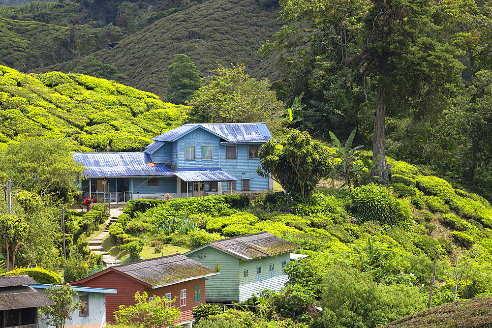 Buildings in BOH Sungai Palas tea plantation, Cameron Highlands, Pahang, Malaysia